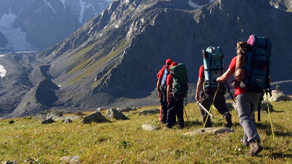 1200xauto_fmxAwfH7kciBt60QfsZCv5zEfzI6U4e1tLxCmbHd