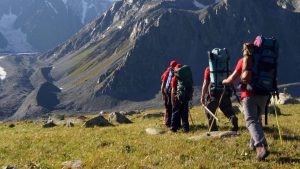 1200xauto_fmxAwfH7kciBt60QfsZCv5zEfzI6U4e1tLxCmbHd